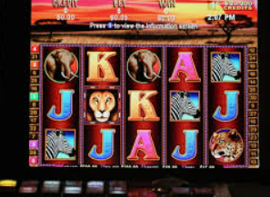 熊猫体育下载2024最新版