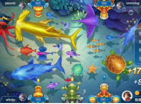 熊猫体育下载2024最新版